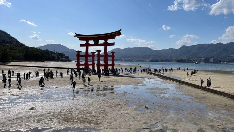 Amazing Hiroshima: Private City Tour with a Local Guide - What to eat on Miyajima: grilled oysters and momiji manju