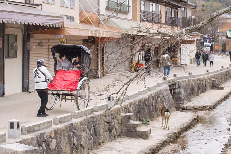 Amazing Hiroshima: Private City Tour with a Local Guide - Shukkei-en Garden: a gentle break that still feels meaningful