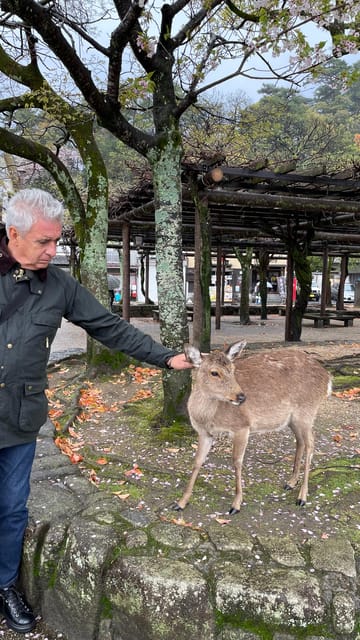 Amazing Hiroshima: Private City Tour with a Local Guide - Ferrying to Miyajima: your afternoon timing check
