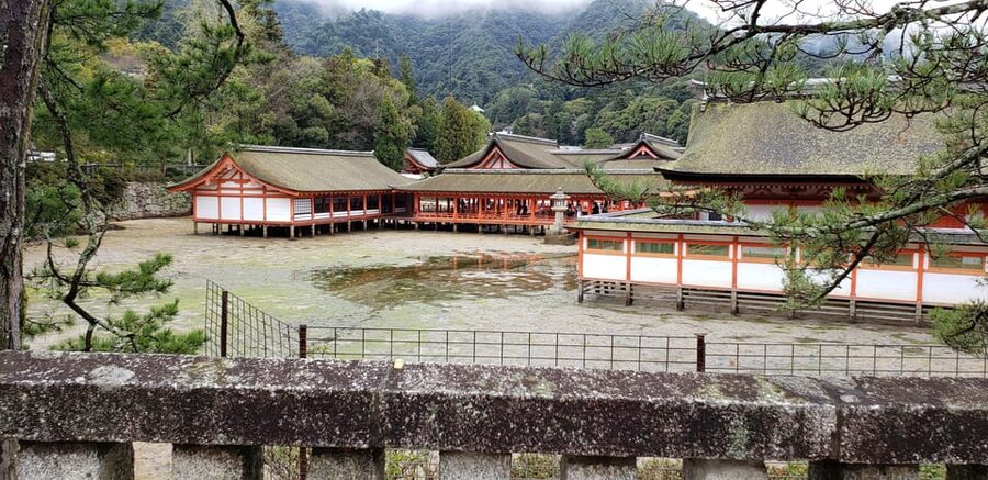 Amazing Hiroshima: Private City Tour with a Local Guide - Daisho-in Temple and Shingon Buddhism on the same island day