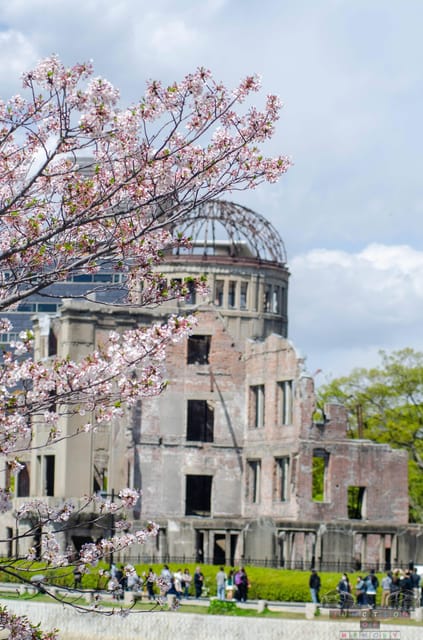 Amazing Hiroshima: Private City Tour with a Local Guide - Museum time: turning emotion into understanding
