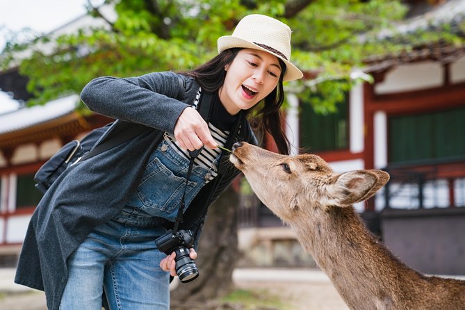 Ancient Capital Tour: Kyoto and Nara Highlights from Kyoto/Osaka - Quick hits before you go