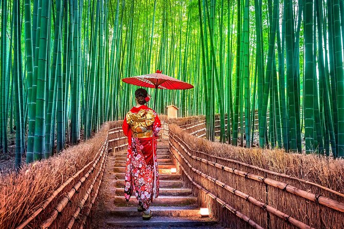 Ancient Capital Tour: Kyoto and Nara Highlights from Kyoto/Osaka - Nara Park and Todaiji: deer feeding plus the Great Buddha