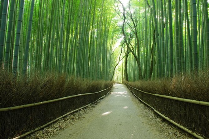 Ancient Capital Tour: Kyoto and Nara Highlights from Kyoto/Osaka - Tickets and value: what you pay for, and what can be extra