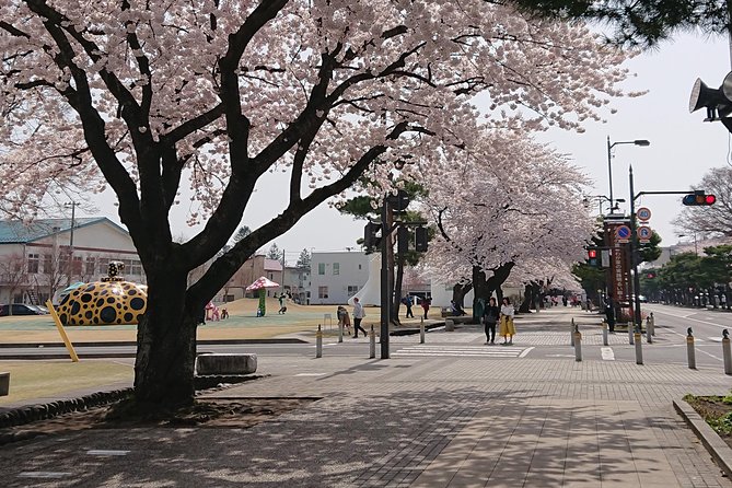 [Aomori Prefecture] Tour the history and architecture in Towada City, the art city - Key things you will notice on this Towada architecture walk