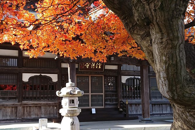 [Aomori Prefecture] Tour the history and architecture in Towada City, the art city - Towada Architecture on Foot: Why This Aomori Walk Feels Different