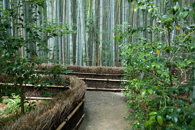 Arashiyama Bamboo Forest E-Biking Tour - Price and What You Actually Get for $116