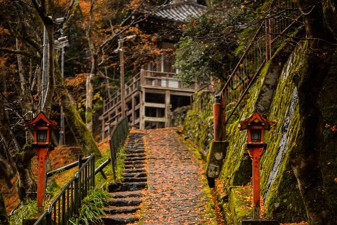 Arashiyama Bamboo Forest E-Biking Tour - Bamboo Forest Trail Time: Parking, Walking, and Managing the Crowd Factor