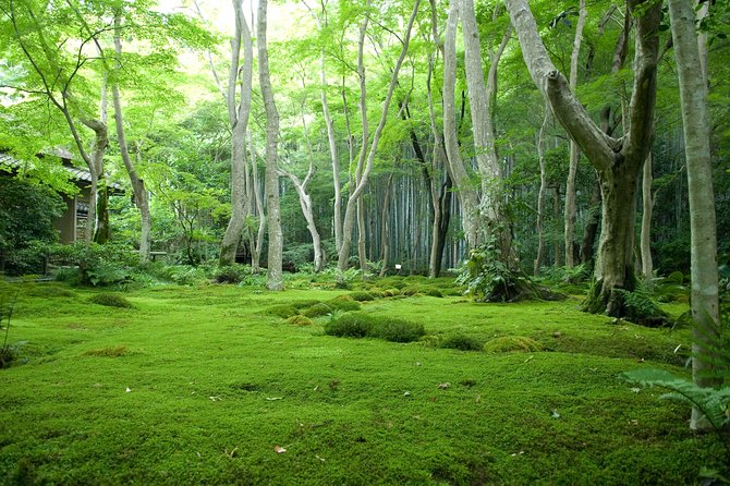 Arashiyama Bamboo Forest E-Biking Tour - The 25 km Route Feel: Hills, Roads, and Why Confidence Matters