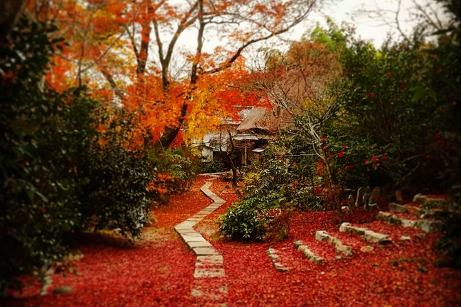 Arashiyama Bamboo Forest & Hidden Gems Bike Tour (Early Bird) - Stop 1, Bamboo Forest Street: The Sound You Came For