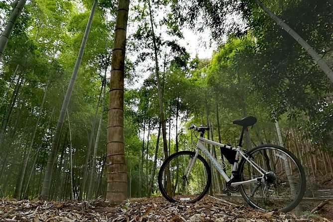 Arashiyama Bamboo Forest & Hidden Gems Bike Tour (Early Bird) - The Arashiyama Ride: Backstreets, Temples, and a Better Sense of Place
