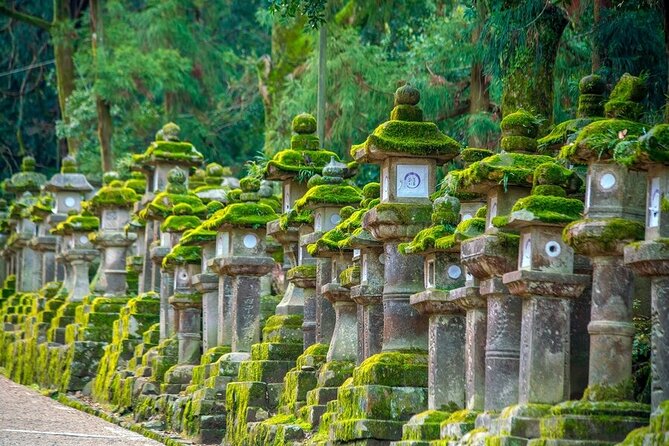 Arashiyama & Nara Highlights: One-Day Private Tour Adventure - Nara Deer Park First: How to Enjoy the Deer Without Losing Your Temper