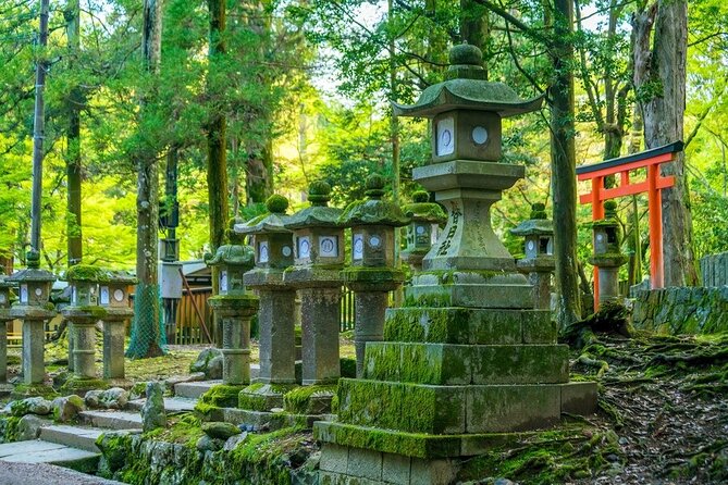 Arashiyama & Nara Highlights: One-Day Private Tour Adventure - Price and Value: What You Pay, What You Still Pay For