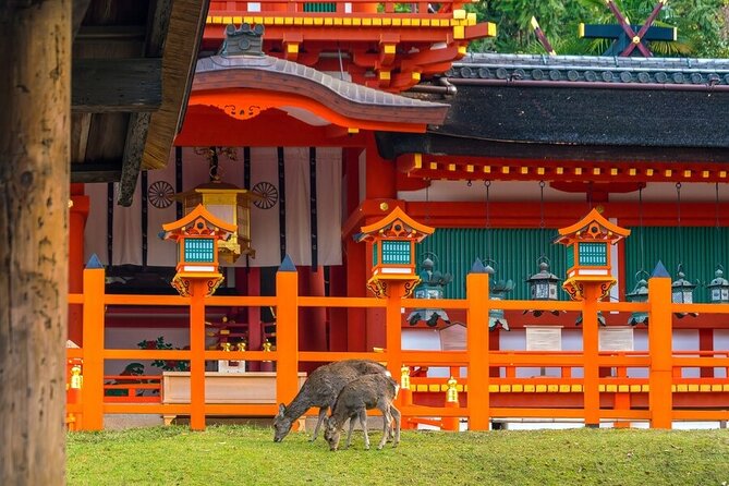 Arashiyama & Nara Highlights: One-Day Private Tour Adventure - Guide Quality Matters, and the Names You’ll Hear