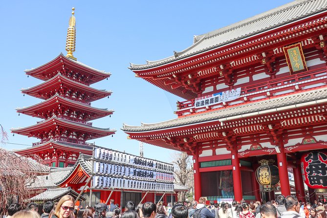 Asakusa Cultural Walk & Matcha Making Tour - Why This Asakusa Walk Feels Less Tourist, More Local