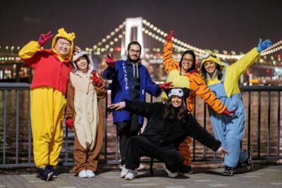 Asakusa/Tokyo Bay & Akihabara Go Karting Tours