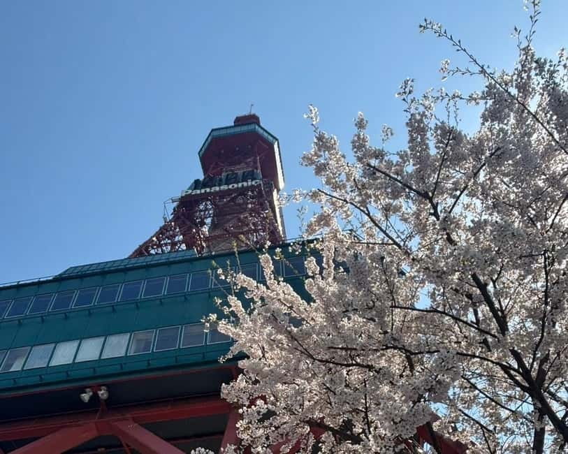 Authentic Sapporo: Nijo Market Seafood Lunch & History Tour - Hokkaido Jingu Tongu, a shrine where locals show up