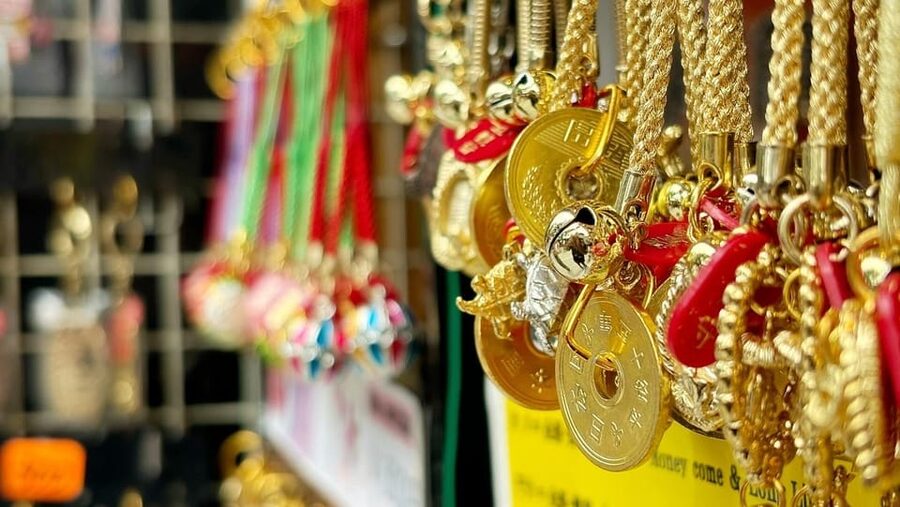 Awesome Private Tour: Tsukiji, Asakusa, Shinjuku, Shibuya - Key highlights worth paying attention to