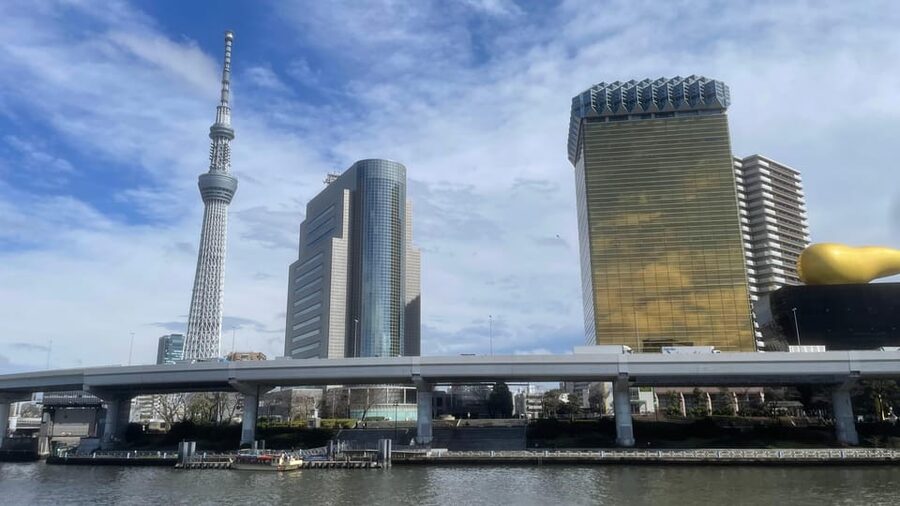 Awesome Private Tour: Tsukiji, Asakusa, Shinjuku, Shibuya - Price, time, and value of a $116 private Tokyo route
