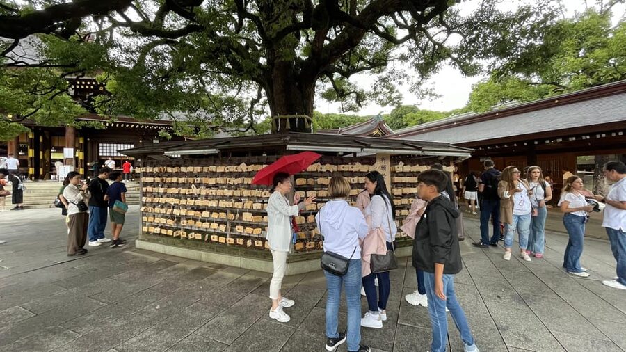 Awesome Private Tour: Tsukiji, Asakusa, Shinjuku, Shibuya - Shibuya Crossing and Shinjuku night districts, a late-city hit with guidance