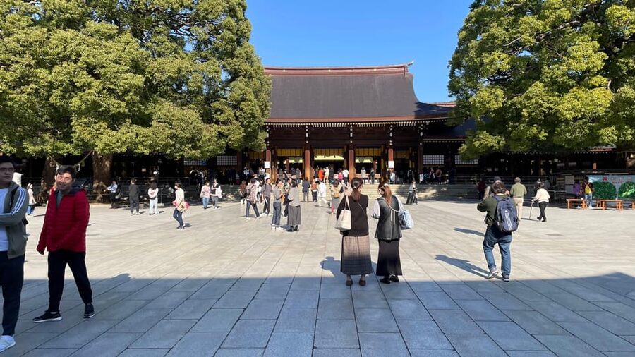 Awesome Private Tour: Tsukiji, Asakusa, Shinjuku, Shibuya - Getting the most from a private guide, from photos to heat breaks