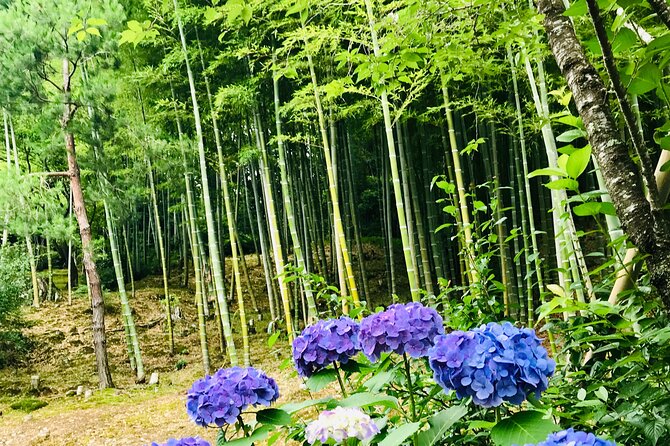 Bamboo LED Lantern Making Experience in Kyoto Arashiyama - What can you make beyond a bamboo LED lantern