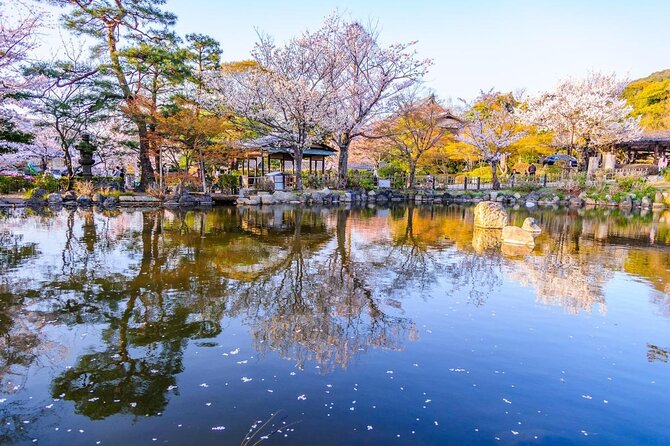 Beautiful Photography Tour in Kyoto - Key Points That Matter Before You Book