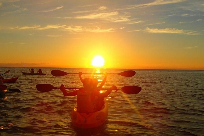 Beautiful sunset kayak tour in Okinawa - Mangroves, ecosystem talk, and the reality of a river start