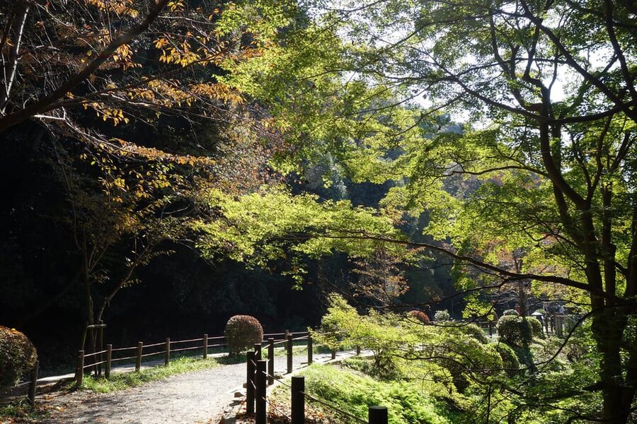 Best of Kyoto: Ginkakuji & Path of Philosophy E-Bike Tour - Key highlights worth your attention