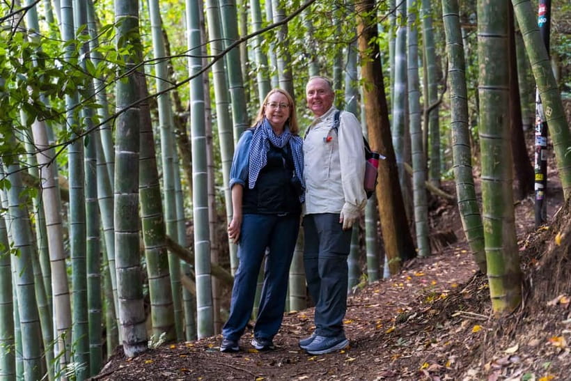 Best of Kyoto: Red Gates of Fushimi Inari & Kiyomizu Temple - Food breaks, coffee, and where the tour ends