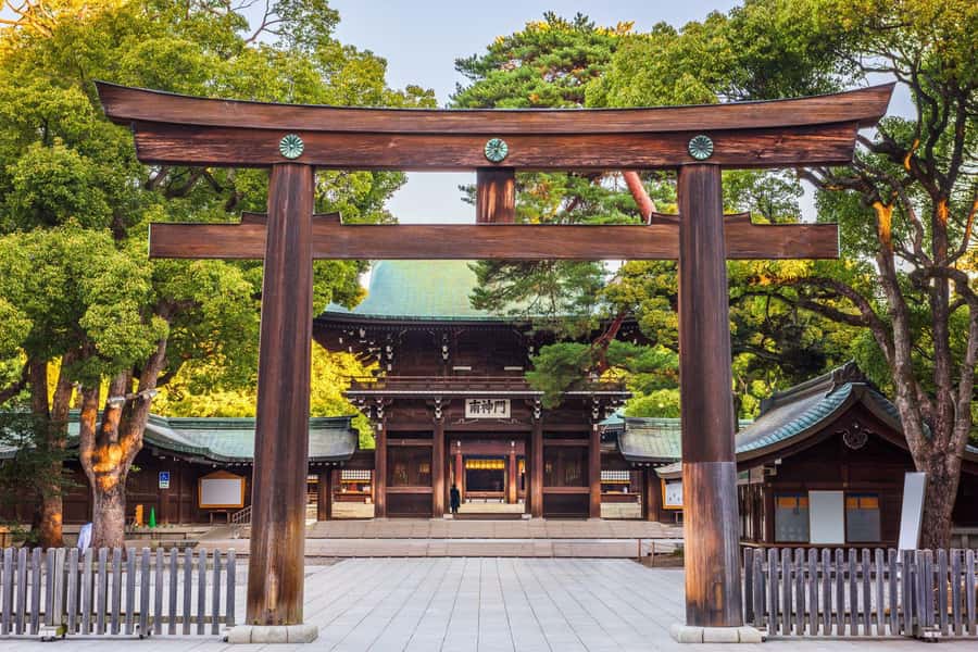 Best of Tokyo Small Group Tour - Enter Tokyo With a Small-Group Plan That Actually Fits a Day
