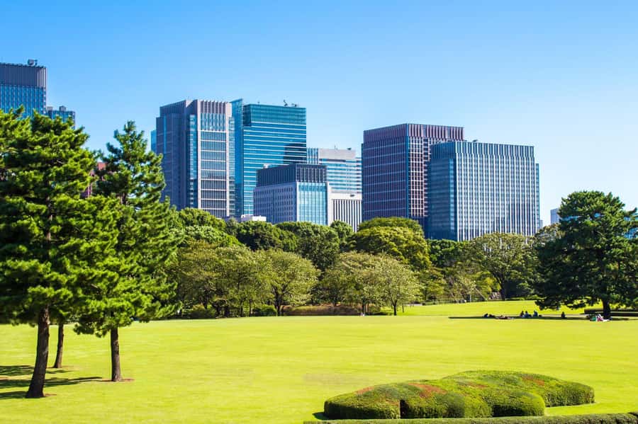 Best of Tokyo Small Group Tour - Imperial Palace Gardens and Nijubashi Bridge, a Photo Stop With Meaning