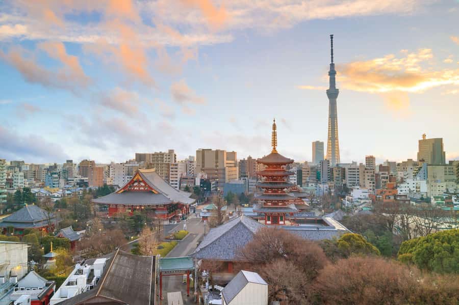 Best of Tokyo Small Group Tour - What the Guide Adds: Better Questions, Better Timing, Easier Metro