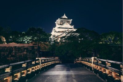 Best Private Osaka Walking Tour With A Guide 100% Personalised