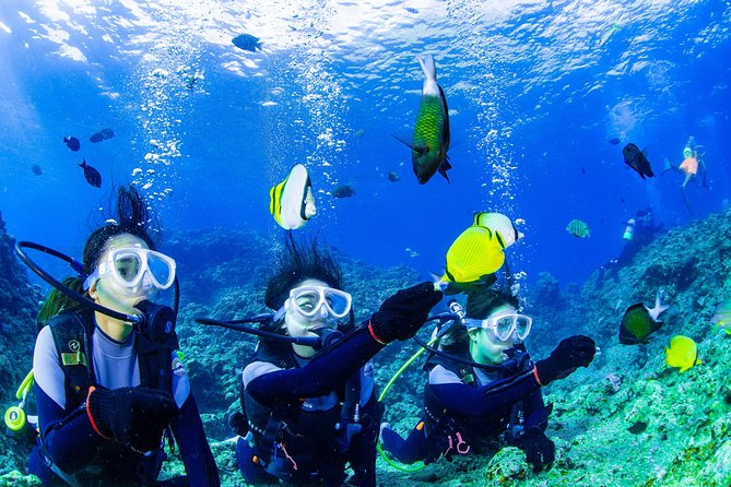 Blue Cave Introductory Dive–Private Guide, Boat Tour&Free Photos - Why this Blue Cave beginner setup feels low-stress