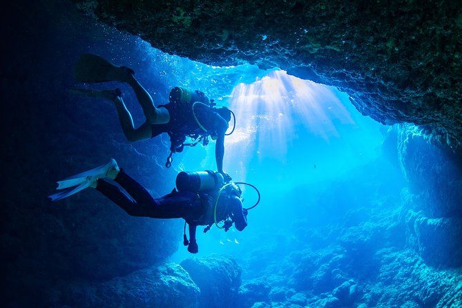 Blue Cave Introductory Dive–Private Guide, Boat Tour&Free Photos - Price and value at about $57.44 per person