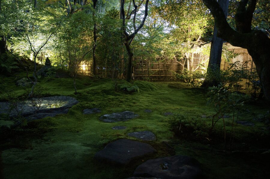Candlelit Zen: Evening Meditation at Kyoto’s Secret Temple - Should You Book Candlelit Zen? My take