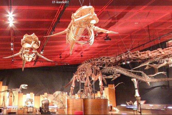 Coal & Fossil Museum Admission Ticket - Where you go, and what “one day” usually means