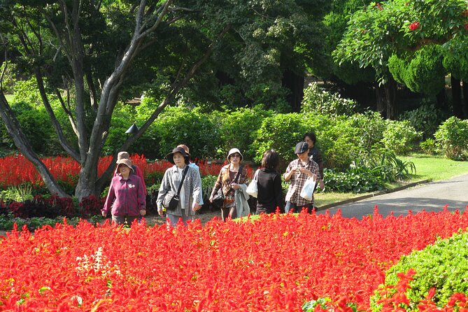 Colors of Japan, Fukuoka Nokonoshima Island Park & Wagyu BBQ - Key Things to Know Before You Go