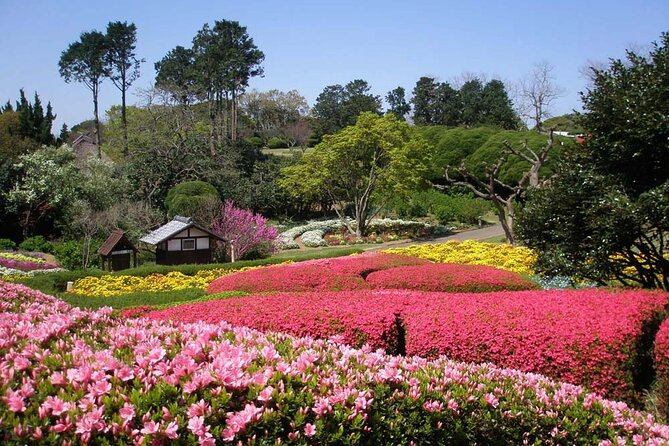 Colors of Japan, Fukuoka Nokonoshima Island Park & Wagyu BBQ - From Fukuoka to Noko Island: Why This Tour Feels Effortless