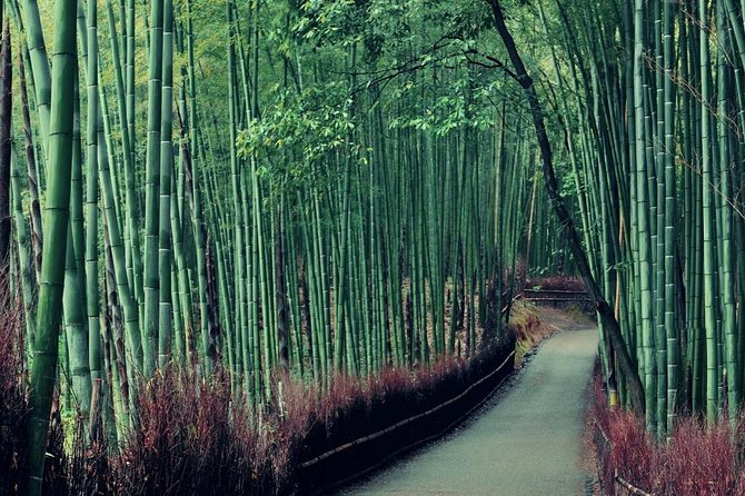 Cruise Stop-Over: Private Custom Day trip to Kyoto from Kobe Port - Choosing Kyoto icons: Fushimi Inari Shrine and Arashiyama bamboo grove options