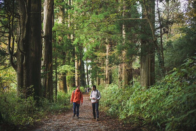 Custom Private Tour in Hakone with a Certified Local Guide - Price and what you’re really paying for ($300 per person)