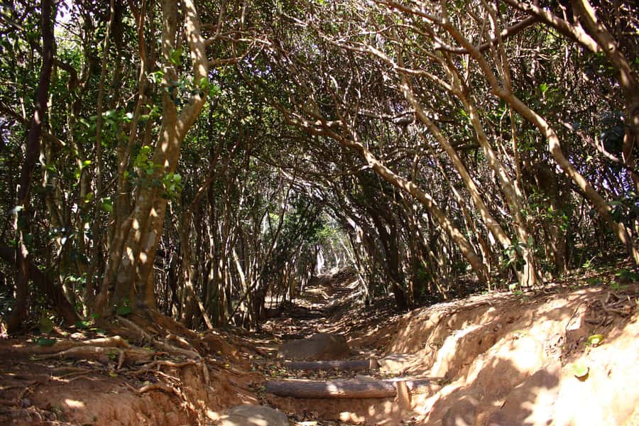 Customized Itoshima Photogenic Tour - Key highlights worth planning around