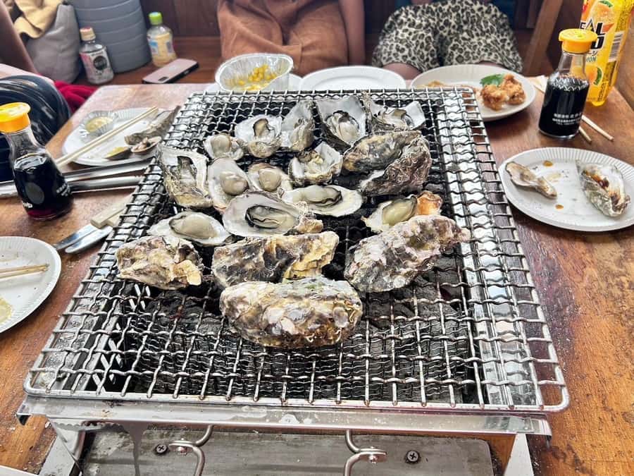 Customized Itoshima Photogenic Tour - Why Itoshima feels like a win for photos and real life