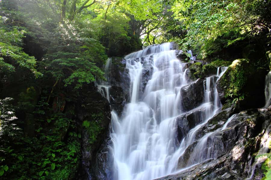 Customized Itoshima Photogenic Tour - Your guides: what makes the day feel easy