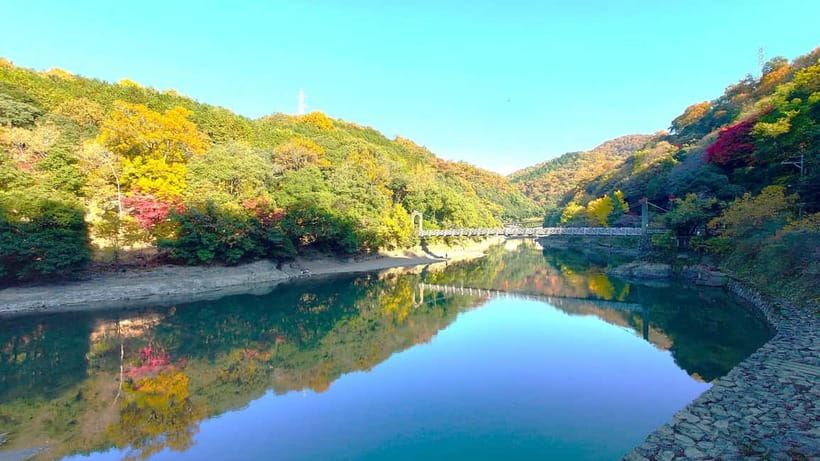 Cycling Tour at Uji's Matcha Green Tea Fields and Heritage - Key Things I’d Prioritize
