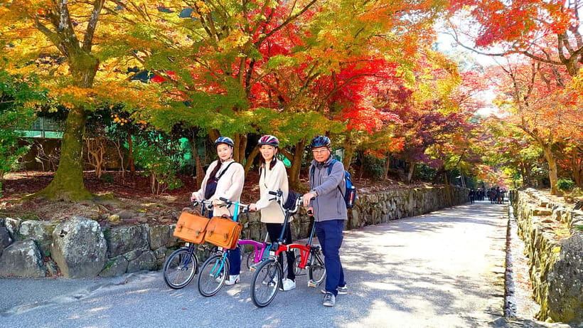 Cycling Tour at Uji's Matcha Green Tea Fields and Heritage - Meeting at the Tea Jar Post, Then Getting Rolling