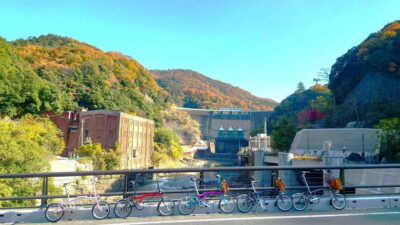 Cycling Tour at Uji’s Matcha Green Tea Fields and Heritage
