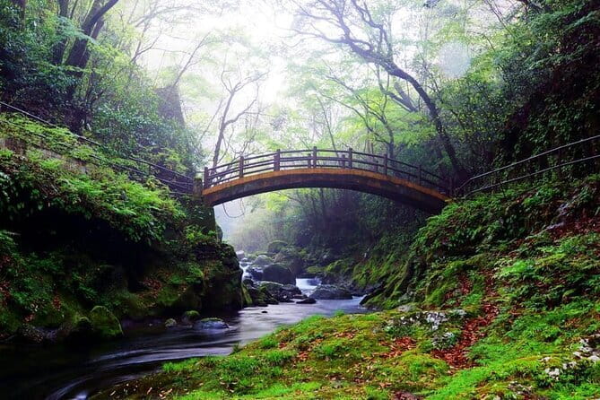 Day Tour to Miyazaki Takachiho Gorge & Shrine depart from Fukuoka - Key Highlights to Know Before You Go