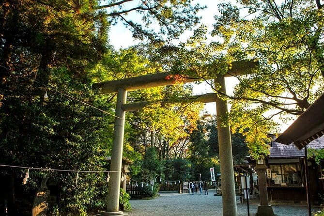 Day Tour to Miyazaki Takachiho Gorge & Shrine depart from Fukuoka - Why This Fukuoka to Takachiho Tour Feels Easier Than DIY